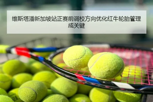 维斯塔潘新加坡站正赛前调校方向优化红牛轮胎管理成关键